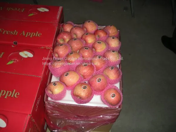 Chinese Fuji Apple photo-5