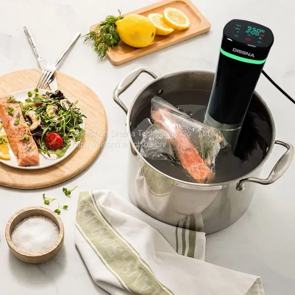 New Design Best Slow Cooker Machine Sous Vide Precise Cooker From China photo-3