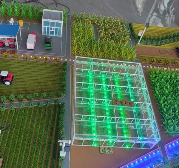 Agricultural Sand Table Model Making Factory photo-2