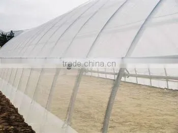 Insect Netting
