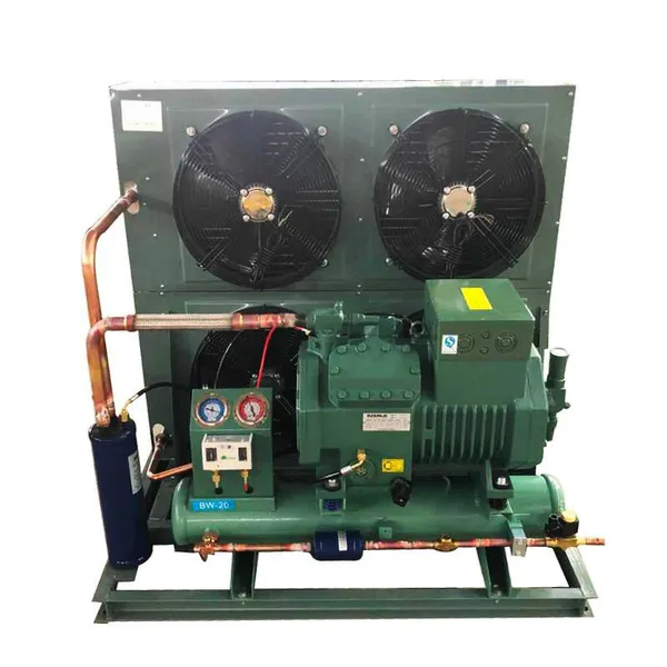Catering Cold Storage, Borun Refrigeration Cold Storage Compressor, 5 Hp, 4yd - 3.2, Reliable Cold Storage Compressor Unit photo-2