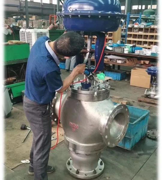 Cast Iron Globe Type Regulating Valve for Steam Flow Control photo-2
