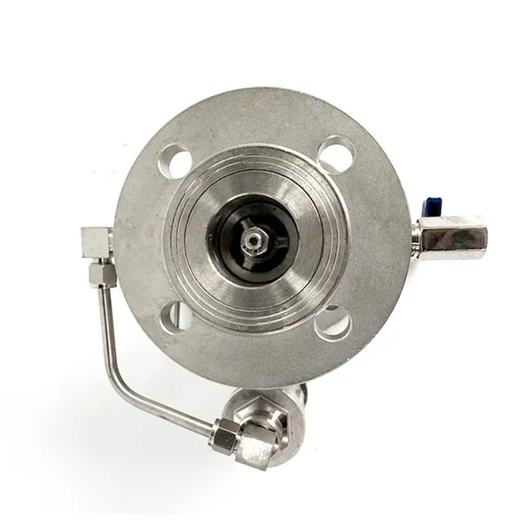 Manufacturer Direct Sales of This Quality Stainless Steel Backflow Preventer photo-3
