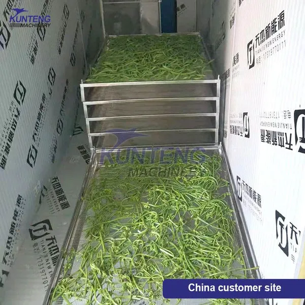 Industrial Heat Pump Fan Blower Tray Dryer for Fruit and Vegetables Ginger Dryer Macadamia Making Machine EPC photo-3
