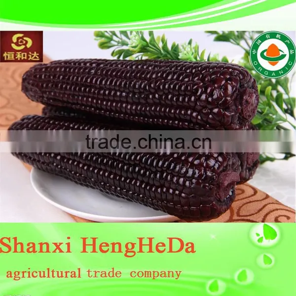 Custom Plastic 2014 New Design Feed Corn for Sale photo-2