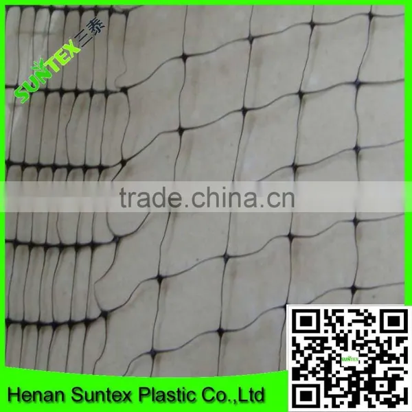 Long Usage Time Cherry Garden Used Bird Barrier Netting for Protection Anti Bird Net photo-2