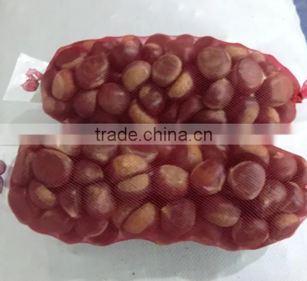 Wholesale Chestnut /Horse Chestnut/Chestnut From Fty photo-3