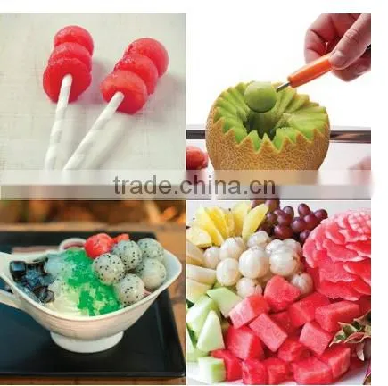 2016 Trade Assurance Supplier for Fruit Knife Watermelon Slicer Melon Baller Scoop photo-6
