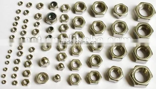 Standard Nut Manufacture Zinc Plated or Black Oxided According to DIN 934 and A563 photo-3