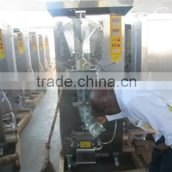 Stainless Steel Bag Liquid Filling Machine