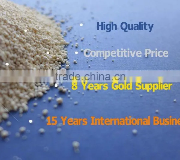 Lysine HCL photo-2