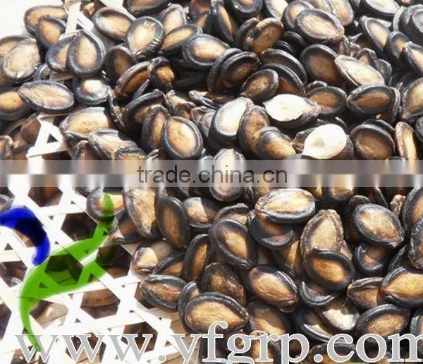 Organic Fresh Big Raw Green Peel Red Meat Seeded Watermelon Seeds For Cultivation photo-4