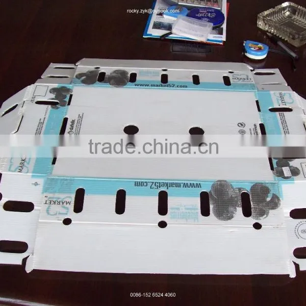 Best Corrugated Plastic Package Box for Banana Packing Carton photo-5