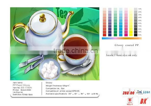 PP Paper (Glossy)