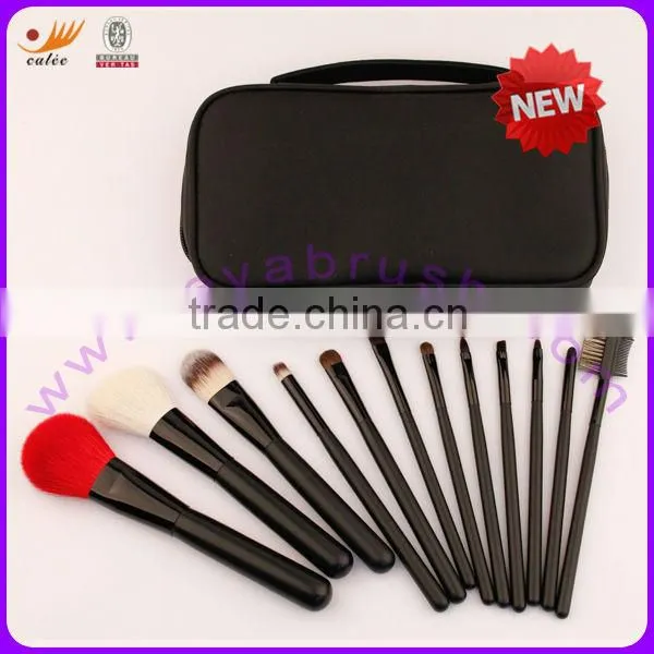 Hot Sales 12 Pcs Cosmetic Brush Set With Case