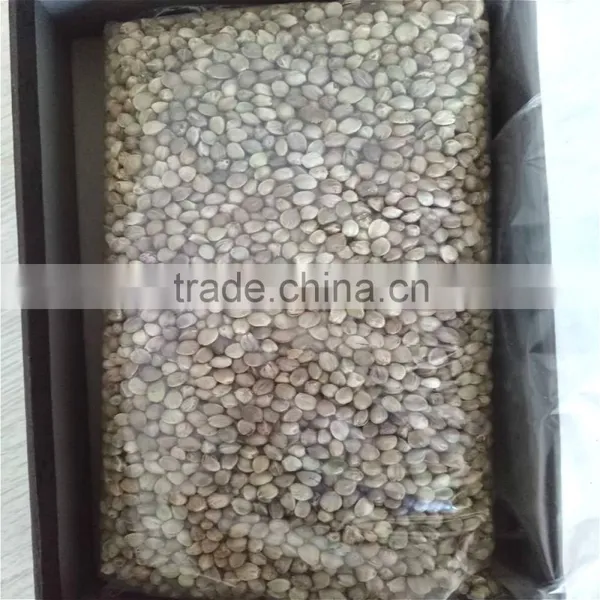 2016 New Crop Hemp Seeds Wholesale photo-2