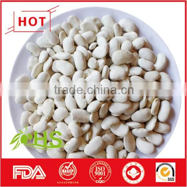Chinese White Kidney Beans of Wholesale Price photo-3