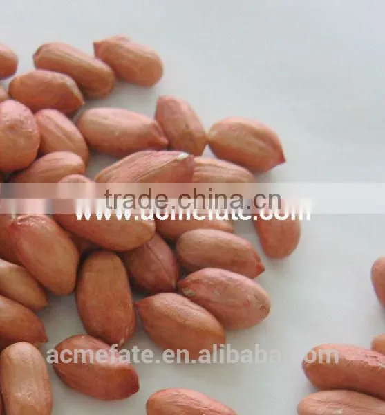 Shandong Long Type Blanched Red Skin Peanut Kernels photo-3