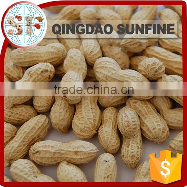 Red Skin Peeled Roasted Peanut in Shell photo-4
