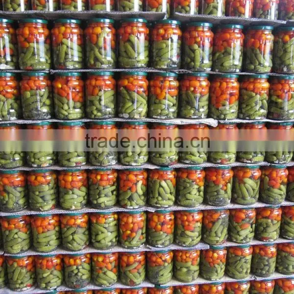 OEM Pickled Cucumbers/ Pickled Gherkins