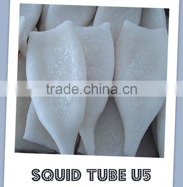 Squid Tube
