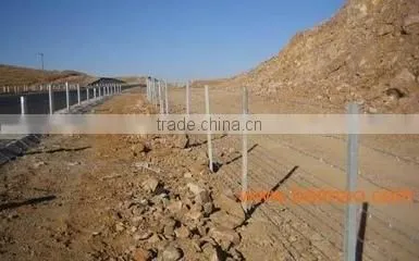 QIang Yu Factory Best Price Barbed Wire photo-5