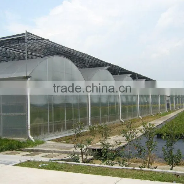 Polycarbonate Sheet Cover Agricultural Greenhouse PC Sheet Covered Greenhouse photo-4