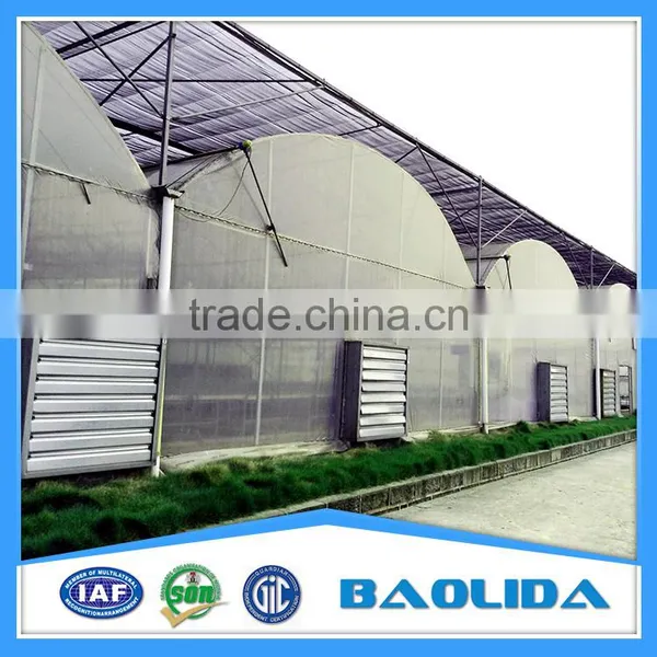 Greenhouses for Roses photo-2