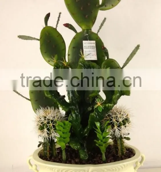 CHY030932 Artificial Ornamental Plant/plastic Decorative Cactus and Succulent photo-4