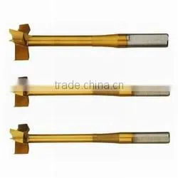 Multi-Angle Drill Bit