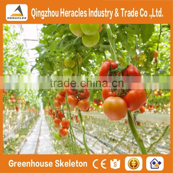 Heracles Trade Assurance Low Cost Agricultural Greenhouse photo-6