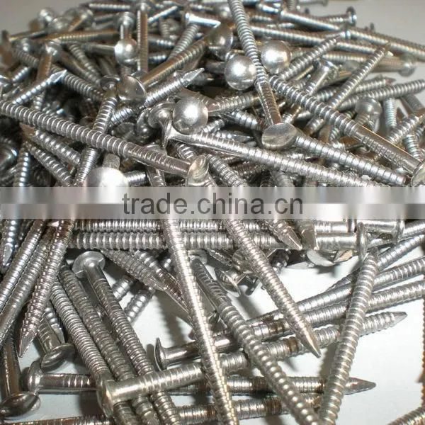 Stainless Steel Construction Nails photo-2