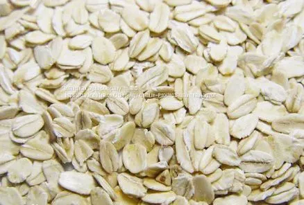 Oats