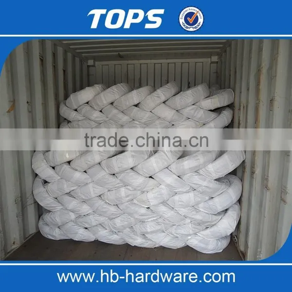 Electro Galvanized Steel Wire photo-6