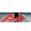 Sell Various Stunt Kite