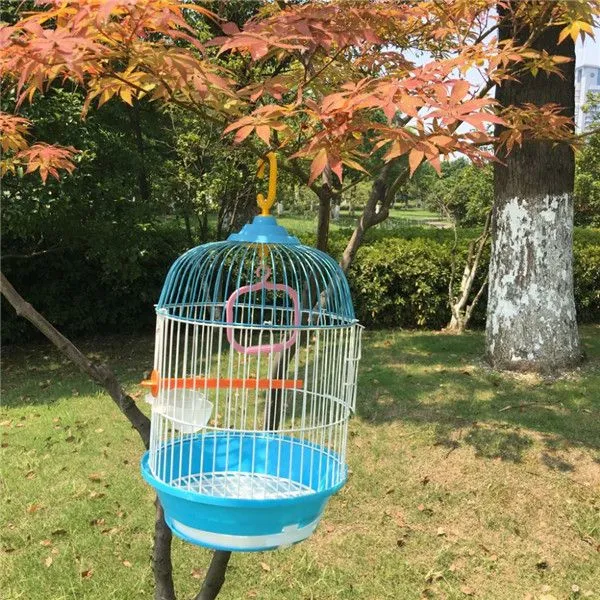 Bird Cage photo-3