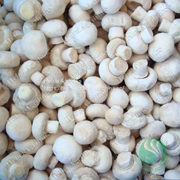 Frozen Champignon Whole