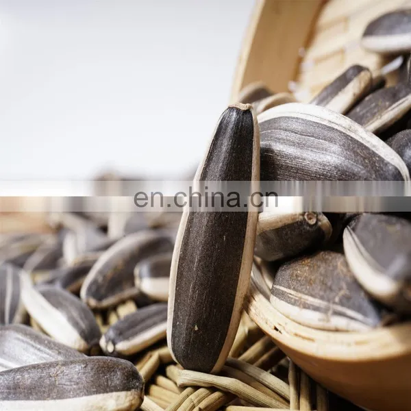 Argentina Sunflower High Oil Seeds photo-3
