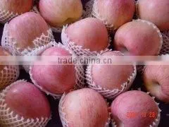 Red Fuji Apple