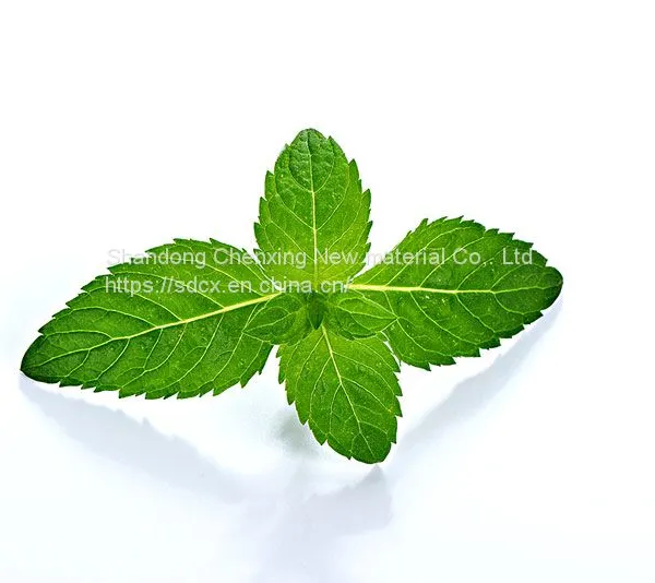 Hot Selling Factory Price High Purity 99% DL-Menthol With Top Quality photo-2