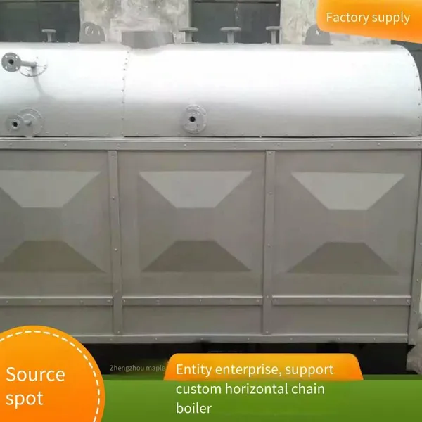 Supply of 6-ton Automatic Chain Biomass Steam Boiler Dzl6-1.25t-scii Steam Boiler photo-2