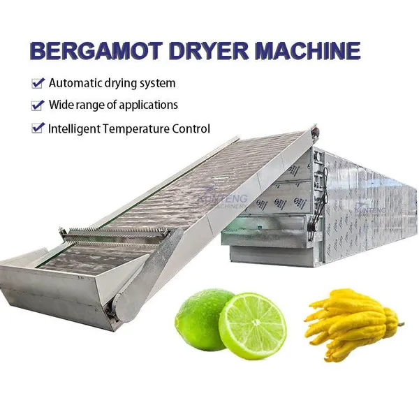 Industrial Automatic Heat Pump Bergamot Dryer Machine Fingered Citron Lemon Orange Citrus Dehydrator Drying Equipment Plant EPC