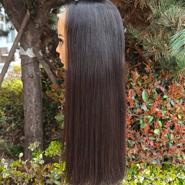Unprocessed Human Hair Wigs for Women photo-3