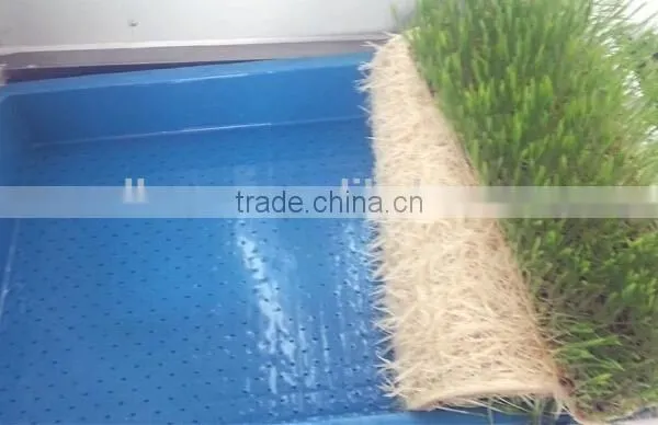 Best Sale Barley Sprouter Machine for Sprouting Barley Sprouts Machine photo-3