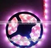 LED RGB Strip Light IP65 60LED/MDC 12V LED Strip photo-2