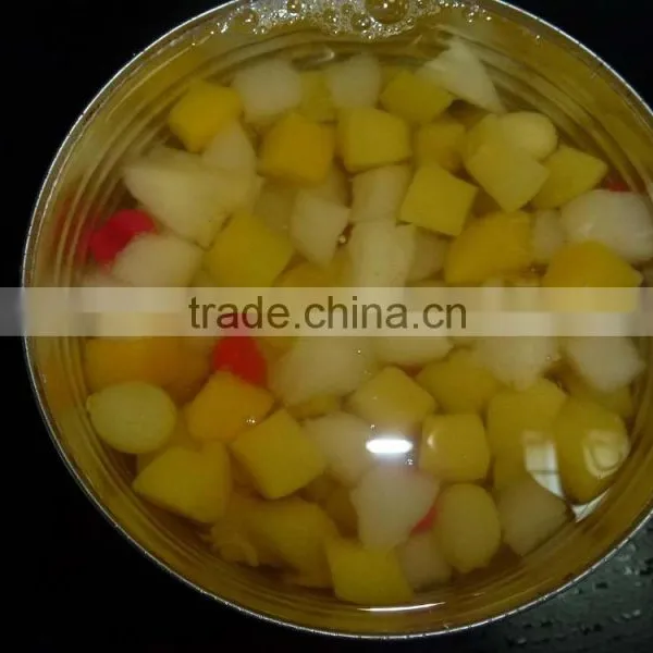 Canned Fruit Salad photo-4