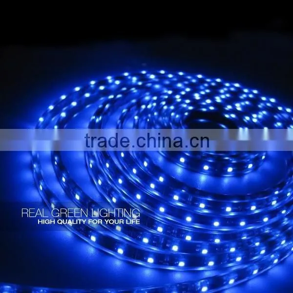 220V Waterproof Blue 5050 Flexible Led Strip Light photo-2