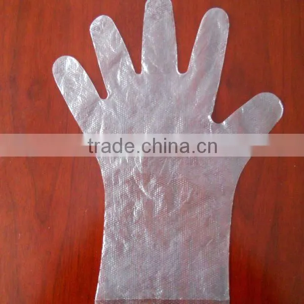 High Quality Disposable PE Glove/LDPE Glove/HDPE Glove