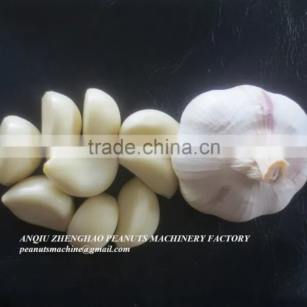 High Output Pneumatic Garlic Peeling Machine for Sale photo-3