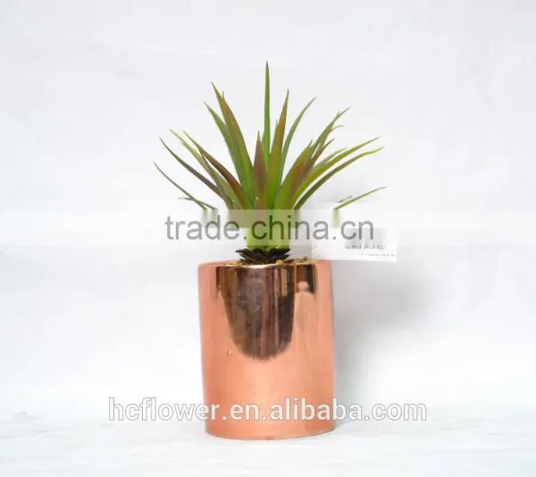 Artificial Succulent Plant With Ceramic for Home Decoration